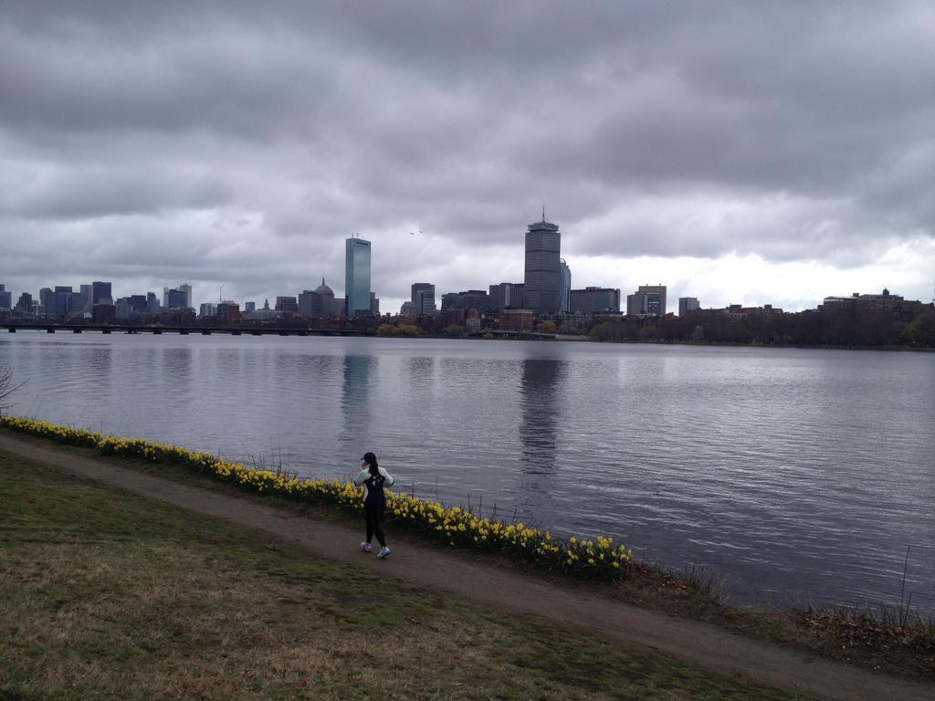 Herbivorian House Apartamento Boston Exterior foto