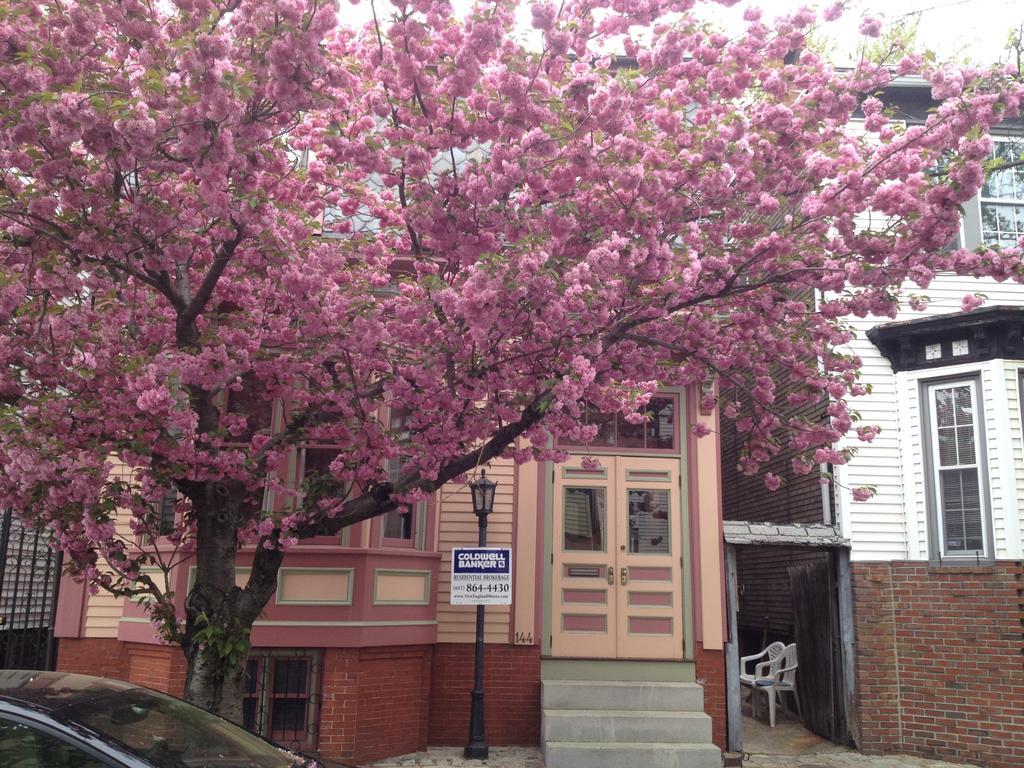 Herbivorian House Apartamento Boston Exterior foto